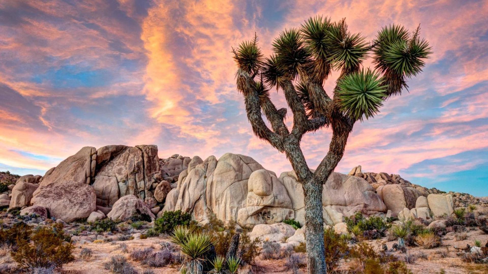 Desert Getaway By Vare Pool Gym Tennis * La Quinta
